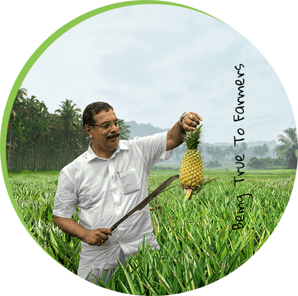 IFFCO Nano Dap Price